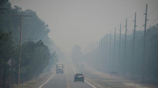 Jovem é preso acusado de causar incêndio florestal em Nova Jersey