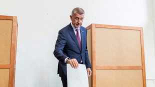 Législatives en République tchèque, le milliardaire "trumpiste" Babis favori