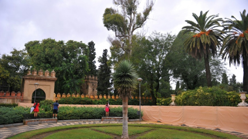 Cierran parques y sacrifican aves en el sur de Espa&ntilde;a ante casos de gripe aviar