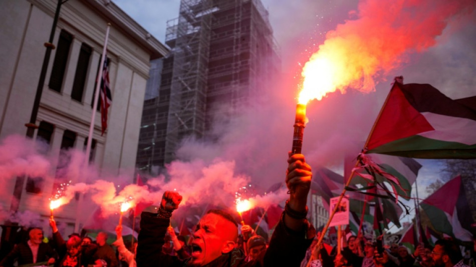 Pro-Palestinian march, actions at Israel v Norway match