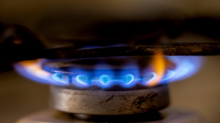 Il gas chiude in rialzo sul mercato di Amsterdam (+1,2%)