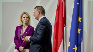 La UE afirma tener "30 días" para hallar una salida diplomática sobre el programa nuclear iraní