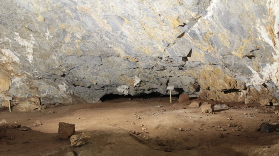 In una grotta in Puglia il ritratto dell'ultimo leone europeo