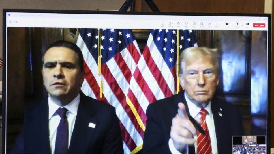 Final surrealista para hist&oacute;rico juicio a Donald Trump