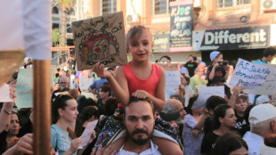 Nach Sturz des Assad-Regimes: Erst wenige Syrer aus Deutschland zurückgekehrt