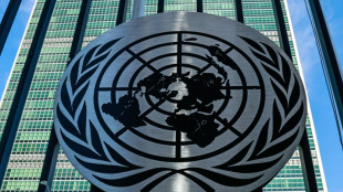 Tres latinoamericanos y un africano aspiran a liderar la ONU