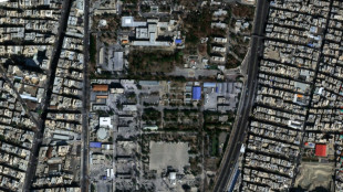 Leading satellite firm to hold back Gulf state images 