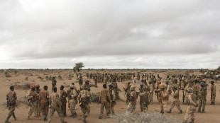 Media, raid della Somalia contro gli al Shabaab, '12 jihadisti uccisi'