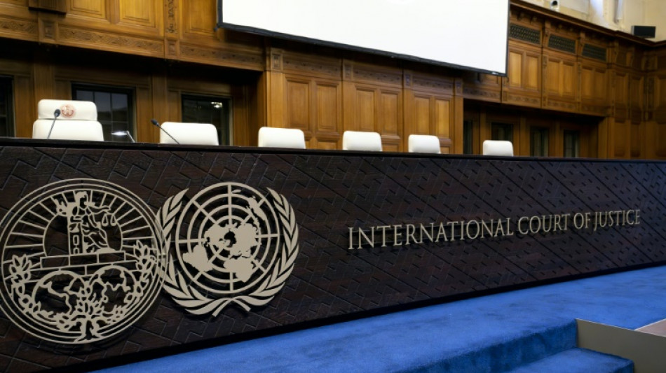 La CIJ busca un marco jur&iacute;dico para proteger el medioambiente