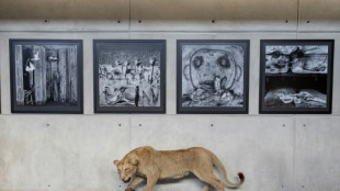 Perturbadora exposici&oacute;n de Roger Ballen sobre los estragos humanos en la naturaleza