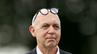 Kein DFB-Vertreter beim WM-Finale