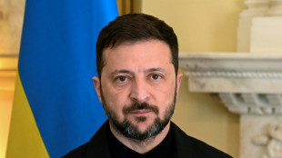 Zelenski se reunió con Carlos III en su visita a Reino Unido para reforzar la cooperación en defensa