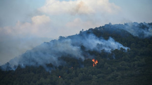 À Fontainebleau, une IA sobre en énergie s'entraîne à détecter les feux de forêt