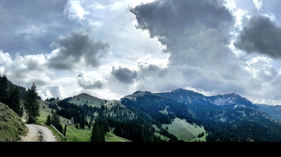 Japanischer Drachensegler stirbt bei Absturz in Ammergauer Alpen