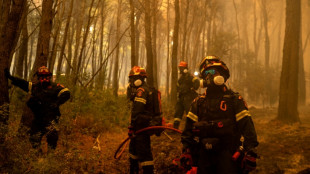 Firefighters in Greece 'pushed to the limit' as winds rage