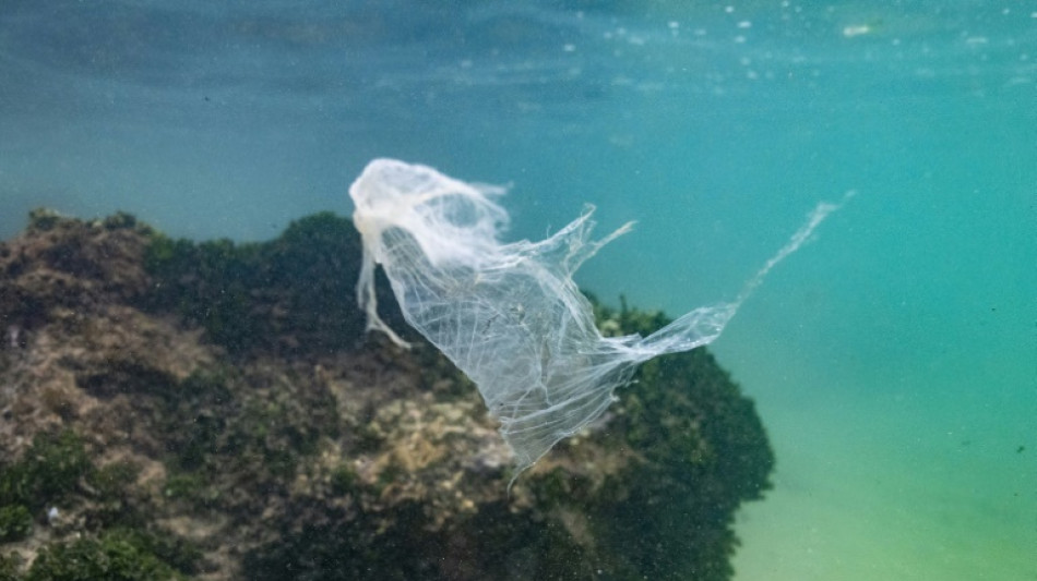 World plastic pollution treaty talks collapse with no deal