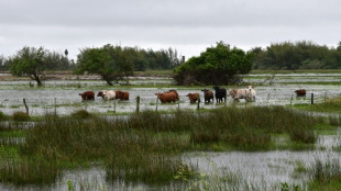 El fen&oacute;meno meteorol&oacute;gico El Ni&ntilde;o persistir&aacute; hasta abril de 2024, seg&uacute;n la ONU