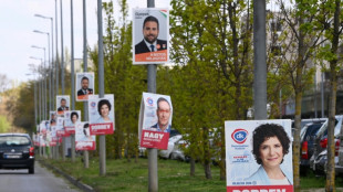 Ha&szlig;elmann hofft auf Regierungswechsel in Ungarn - und Neubeginn