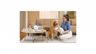 Weihnachtsgeschenke f&uuml;r Hunde